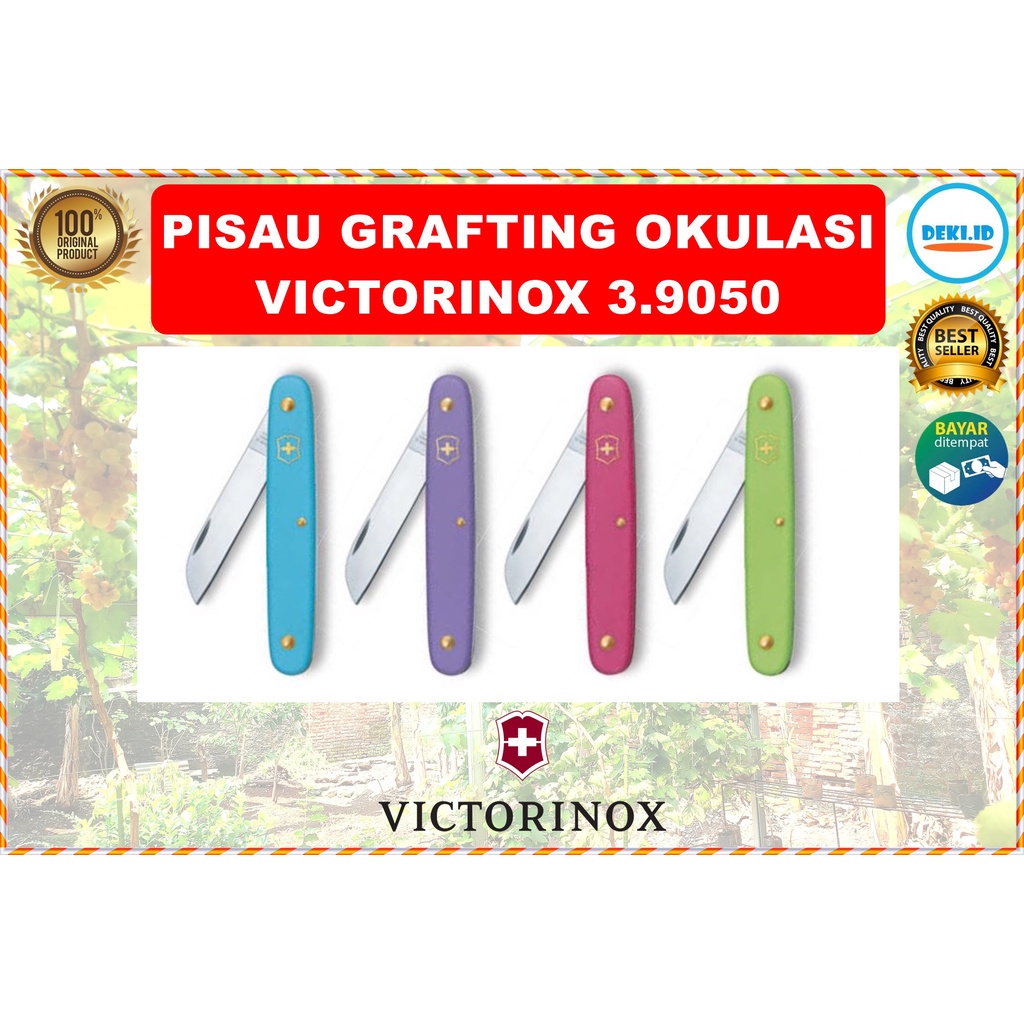 Jual Pisau Grafting Victorinox Swiss Okulasi Original Lipat Saku