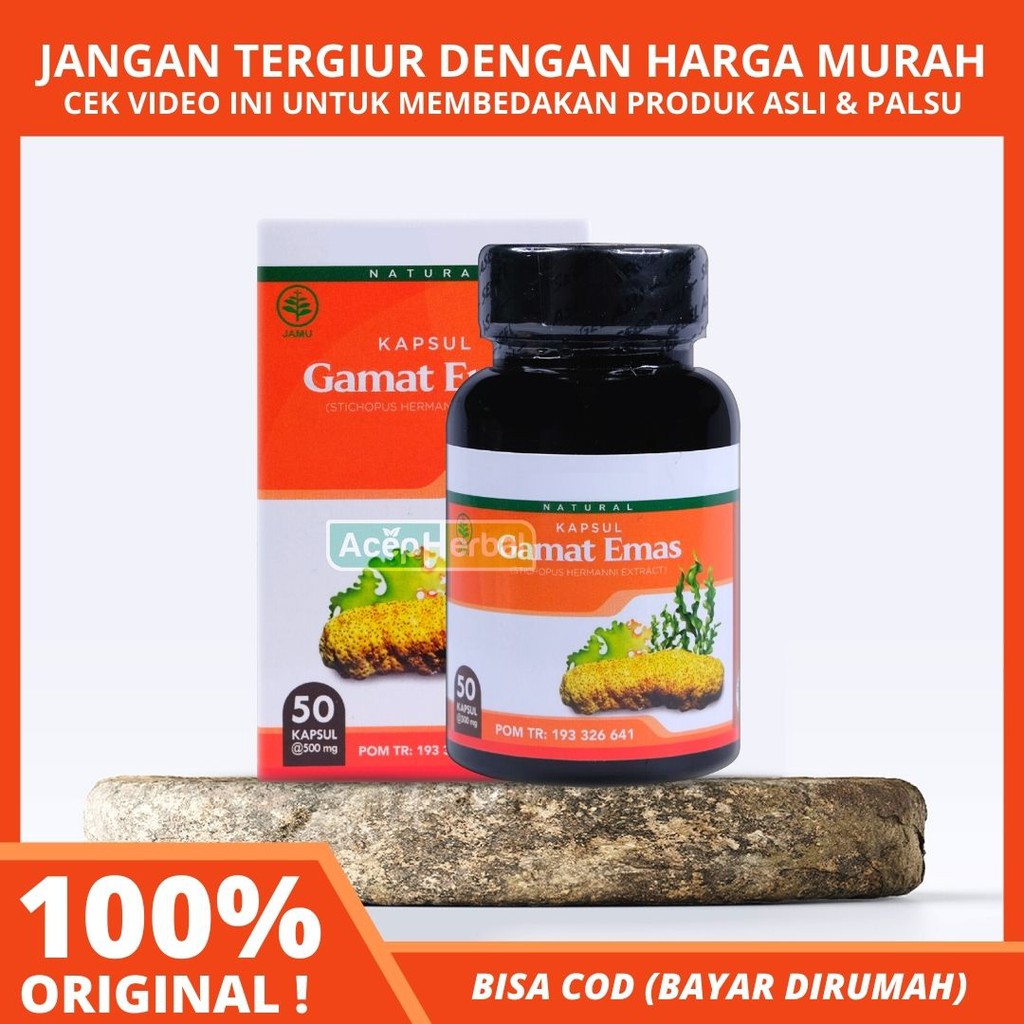 Jual Kapsul Gamat Emas Obat Herbal Segala Masalah Penyakit Obat