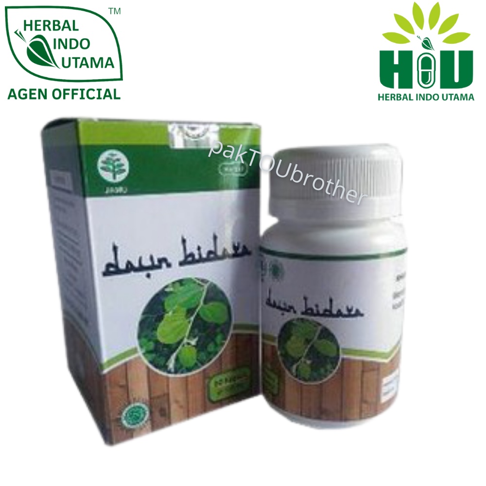 Jual Hiu Daun Bidara Arab Sidr Asli Terapi Ruqyah Obat Penenang Depresi