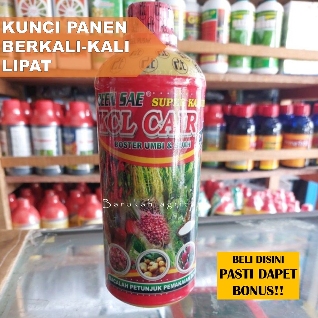 Jual Pupuk Kcl Cair Booster Kalium Umbi Dan Buah Been Sae Liter