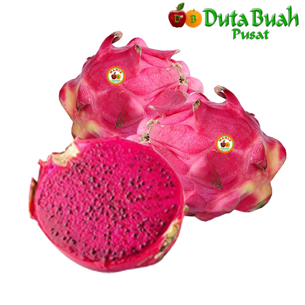 Jual DUTA BUAH Buah Naga Merah Premium 500g 1kg 1 Pcs Shopee