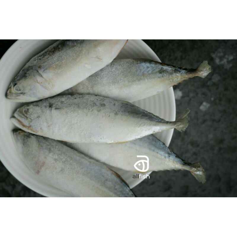 Jual Ikan Kembung Frozen 1 Kg Shopee Indonesia