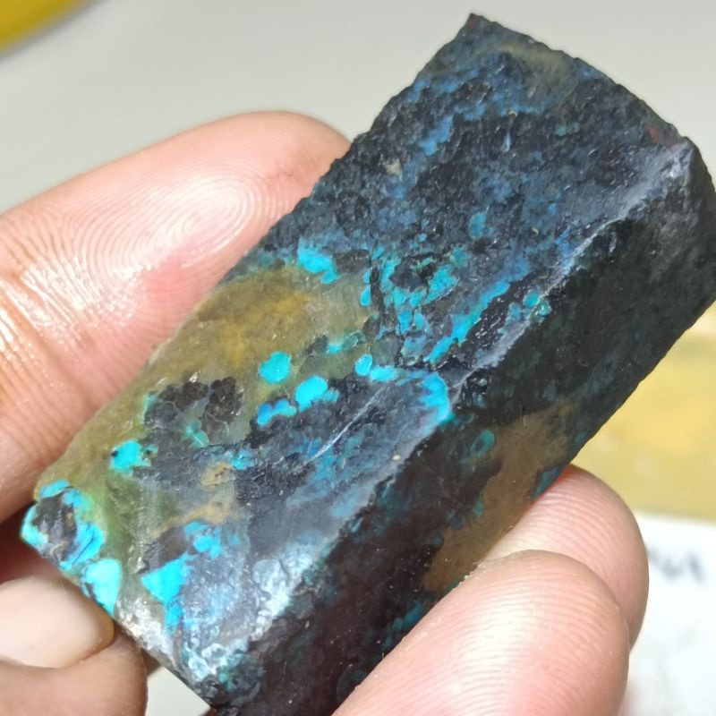 Jual Bacan Doko Bacok Majiko Natural X X Shopee Indonesia