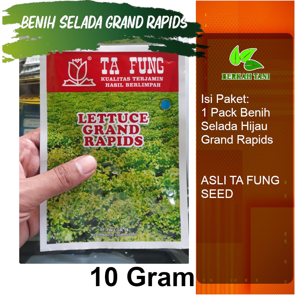 Jual Benih Biji Seed Unggul Selada Hijau Grand Rapids Gram Shopee