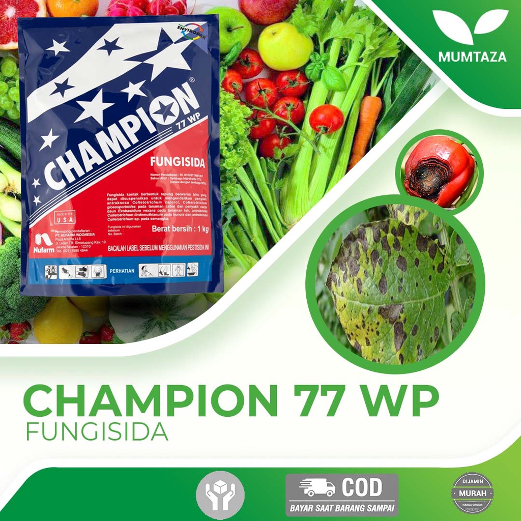 Jual Fungisida Champion Wp Kg Fungisida Kontak Dengan Bahan