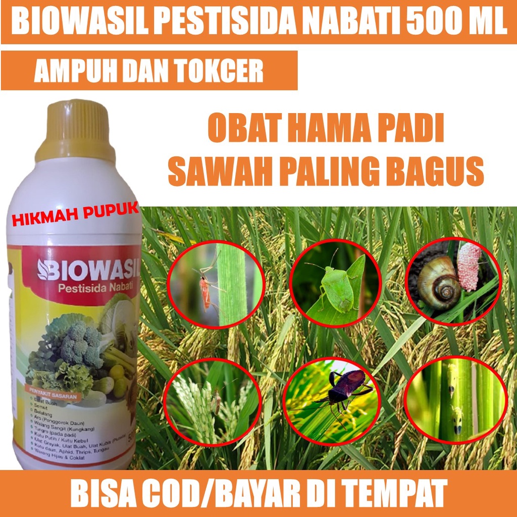 Jual Biowasil Obat Hama Padi Sawah Paling Bagus Pestisida Padi