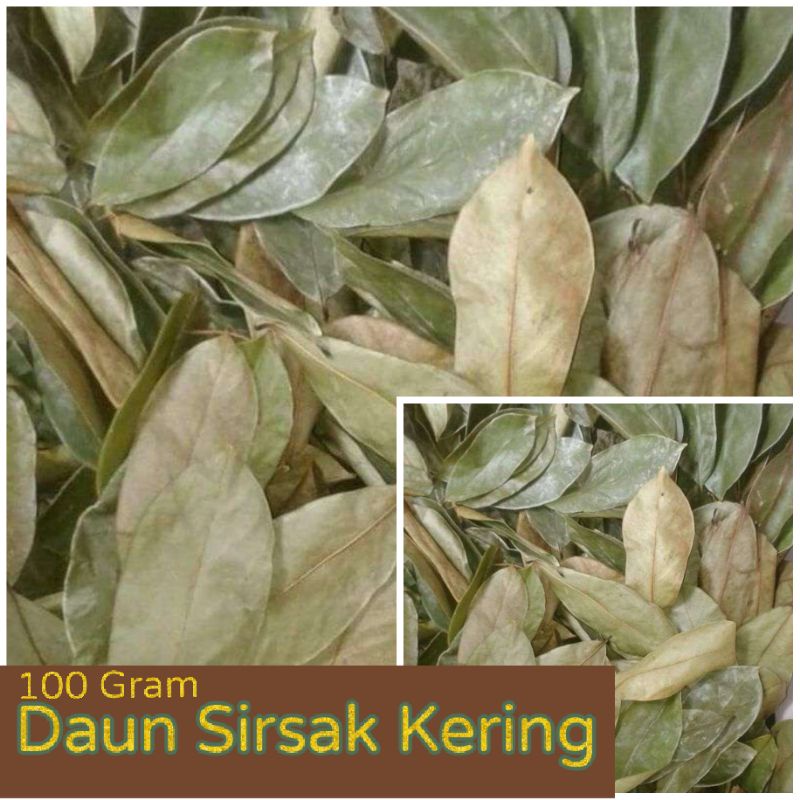 Jual Daun Sirsak Daun Sirsak Kering Gram Shopee Indonesia