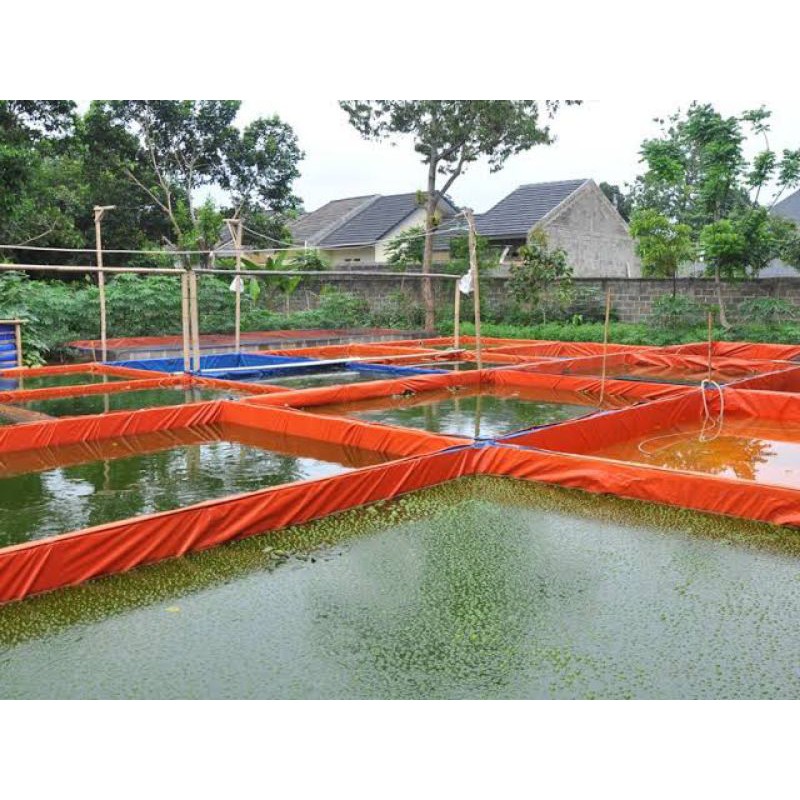 Jual Kolam Ikan Terpal Kotak Ukuran 1x1 5x70 Bahan A15 Shopee Indonesia