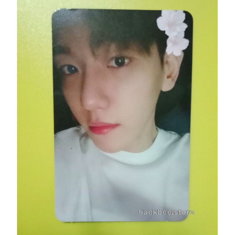 Jual Photocard Baekhyun Chemistry Pc Baekhyun Delight Baca Deskripsi