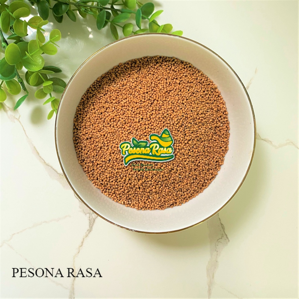 Jual BIG PROMO Yellow Mustard Seeds Premium Halal Biji Mustard