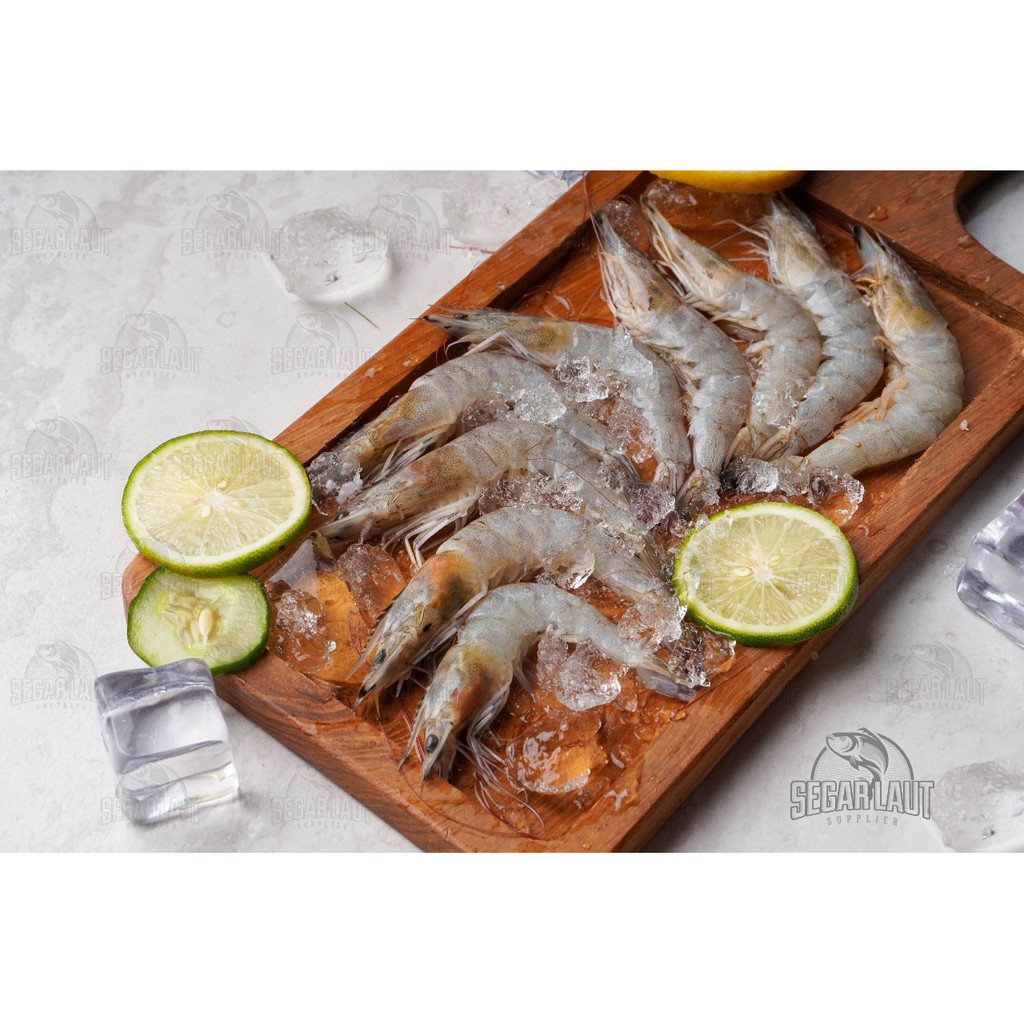 Jual Udang Vaname Fresh Frozen Segar Shopee Indonesia