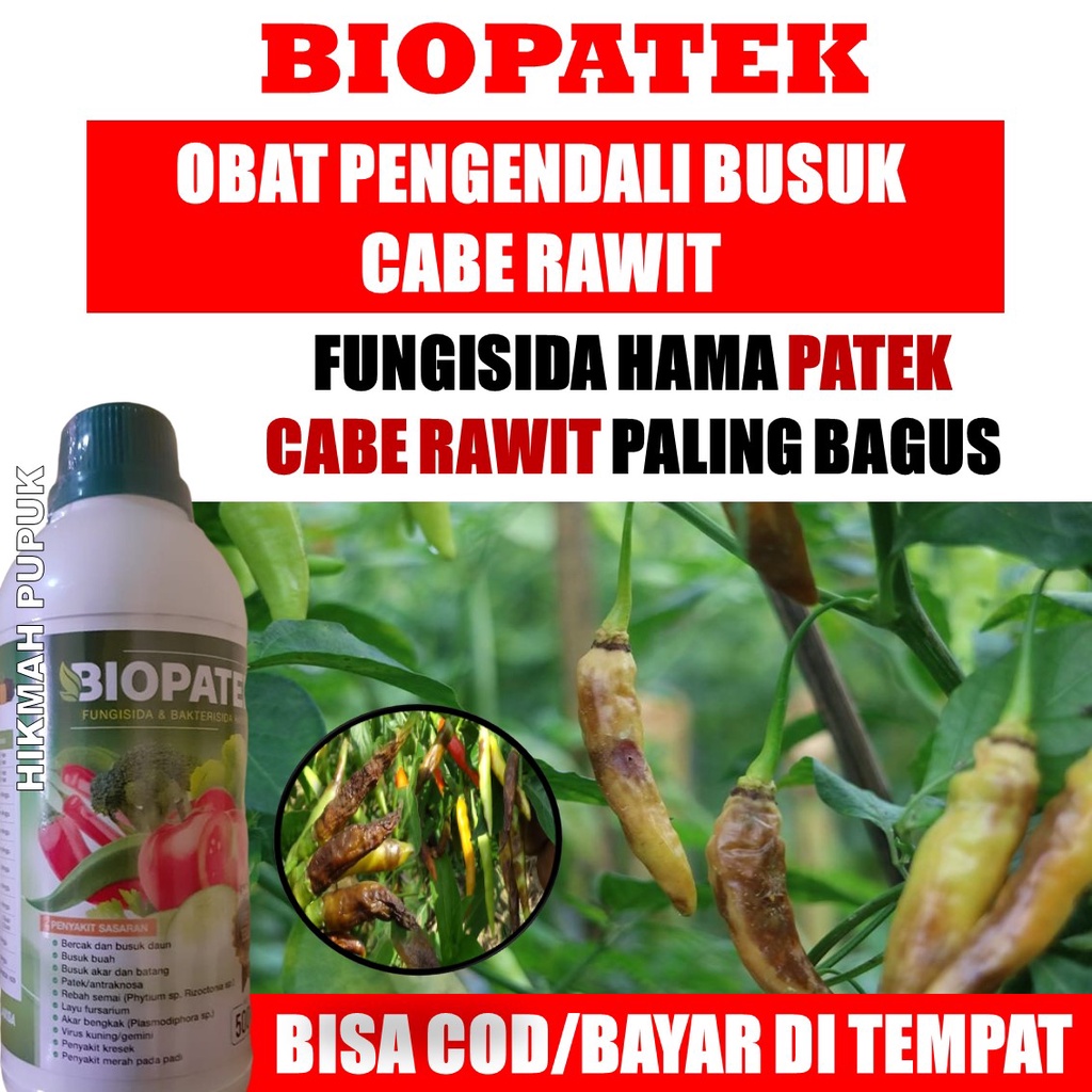 Jual Pupuk Ajaib Patek Cabe Paling Ampuh Biopatek Isi Ml Obat Hama