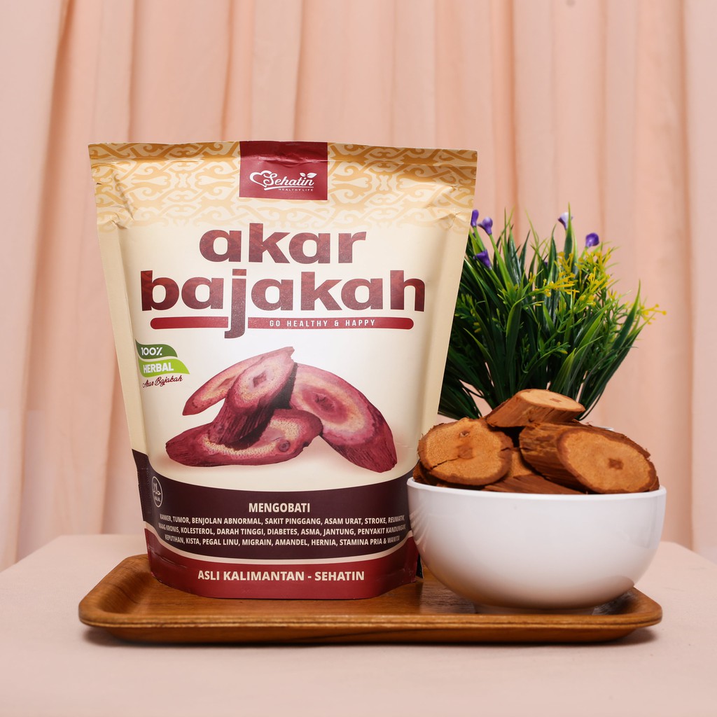 Jual Akar Bajakah Asli Kalimantan 100 Kayu Bajakah Dayak Sehatin