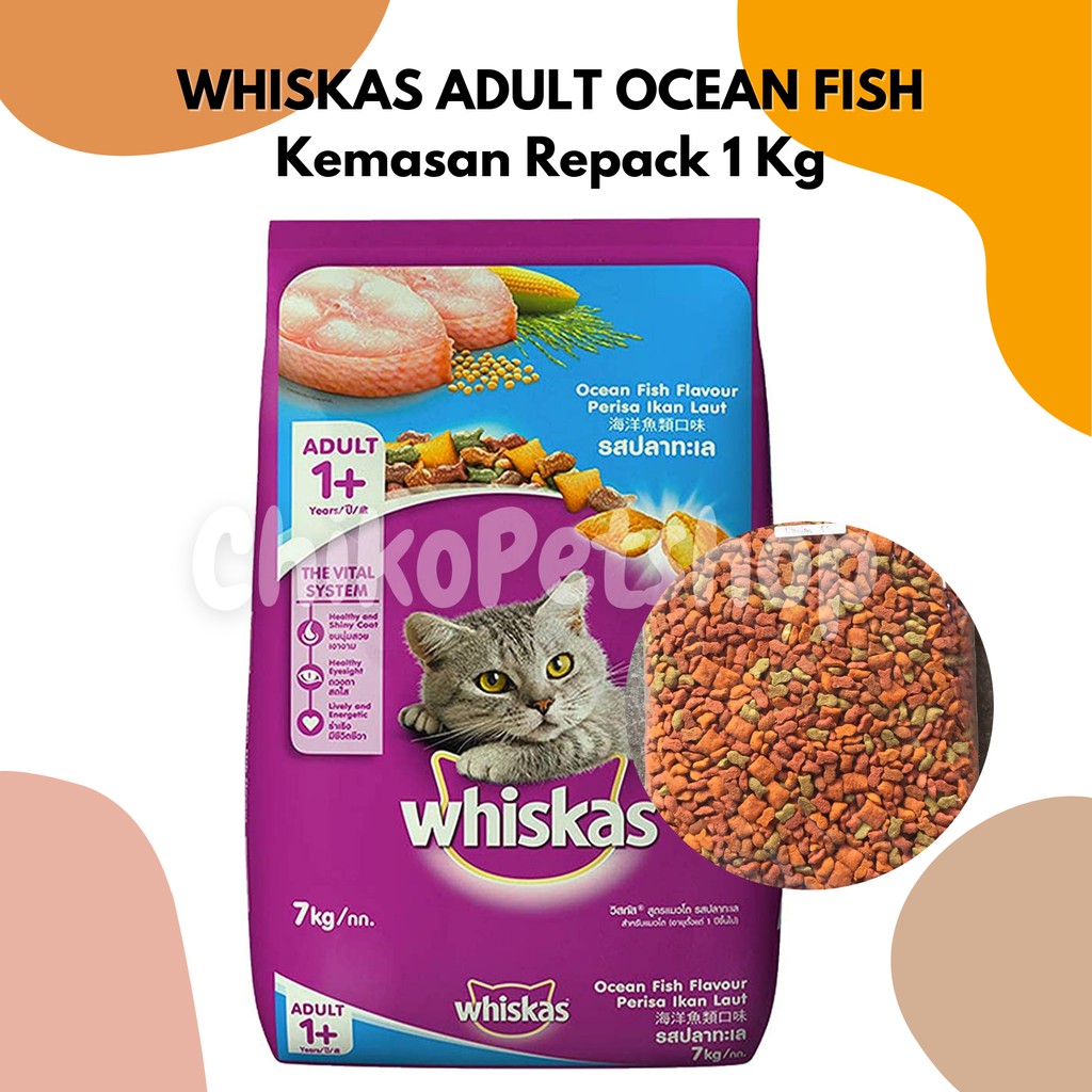 Jual Whiskas Adult Ocean Fish Makanan Kering Kucing Dewasa Wiskas