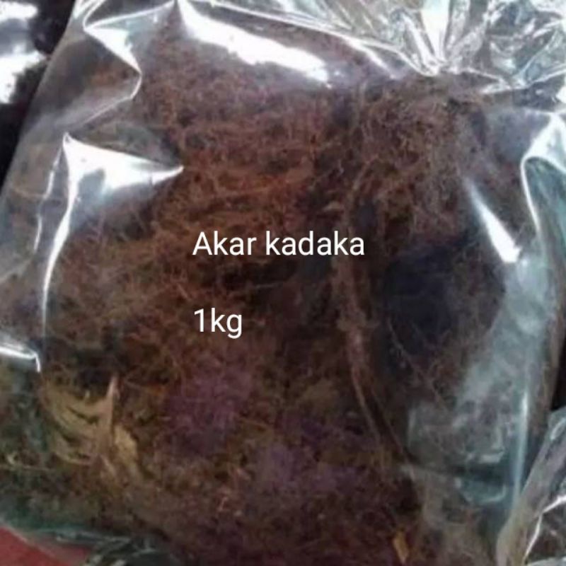 Jual Moss Hitam Media Tanam Anggrek Akar Kadaka Steril Kg Shopee