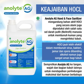 Jual ANOLYTE AG HOCl 5000 Ml 5 Liter Hand Sanitizer Non Alkohol