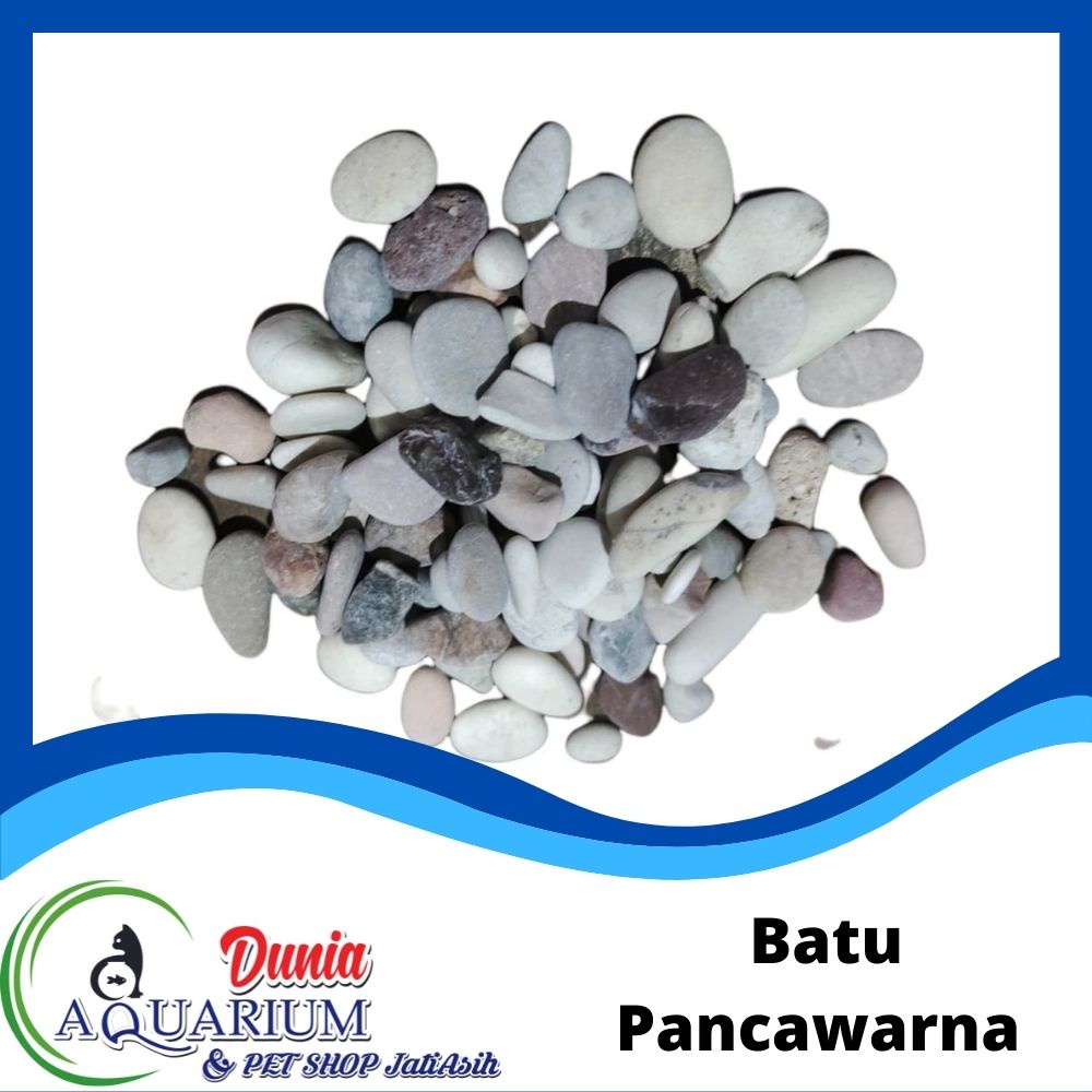 Jual Batu Panca Warna Pancawarna Koral Kerikil Hias Taman Aquarium