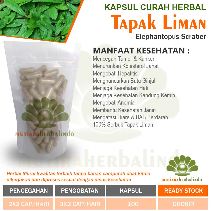 Jual Tapak Liman Kapsul Herbal Tumor Amandel Peradangan Nyeri Haid