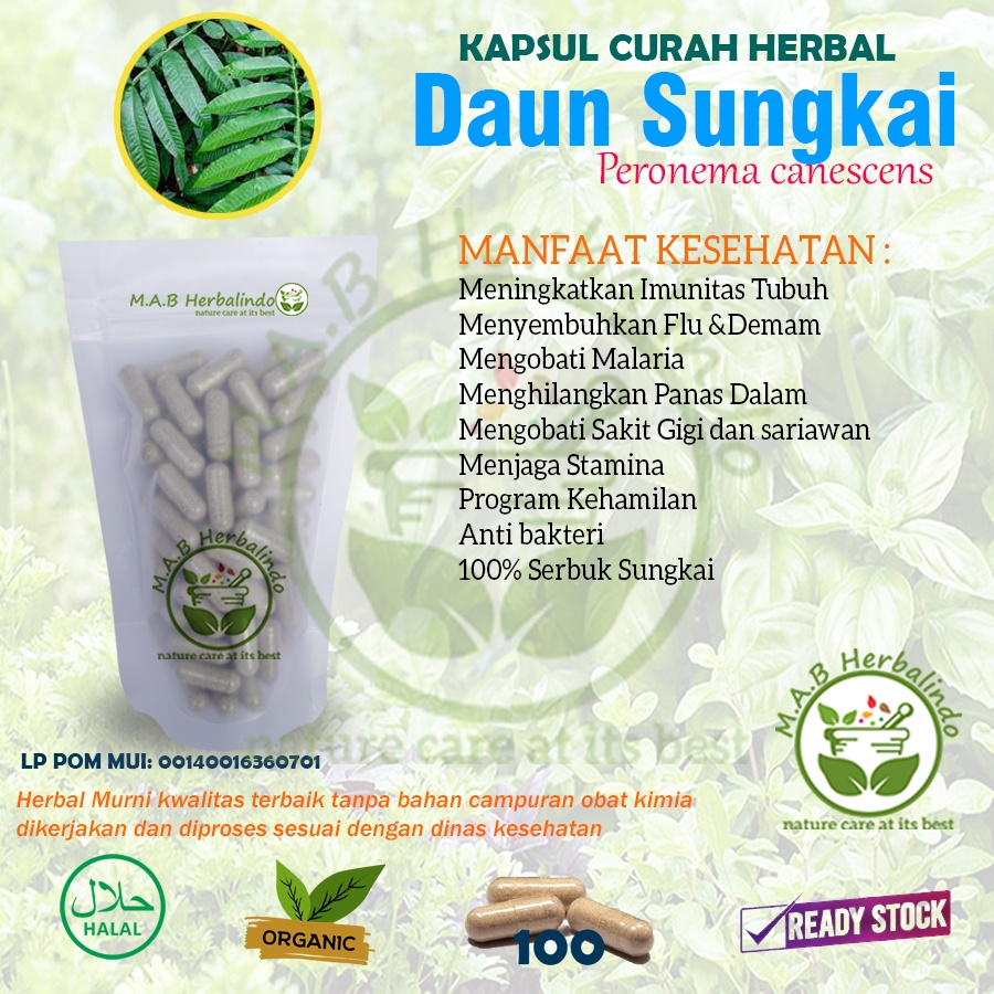 Jual Daun Sungkai Kapsul Curah Herbal Imun Tubuh Malaria Program