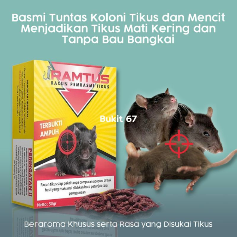 Jual Produk Racun Tikus Ampuh Mati Kering Tidak Bau Padat Bukan Cair