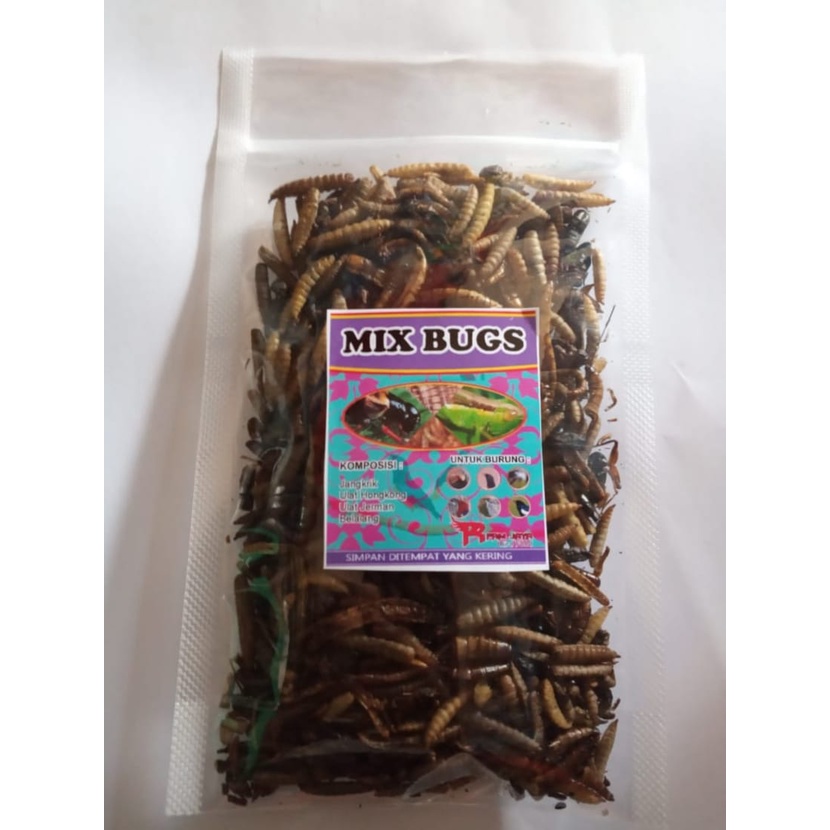 Jual Mix Bugs Gram Campuran Jangkrik Ulat Hongkong Ulat Jerman Pakan