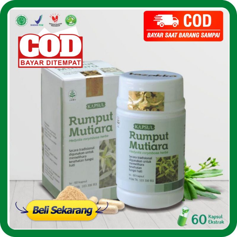 Jual KAPSUL RUMPUT MUTIARA Tazakka Isi 60 Obat Herbal Kanker Tumor