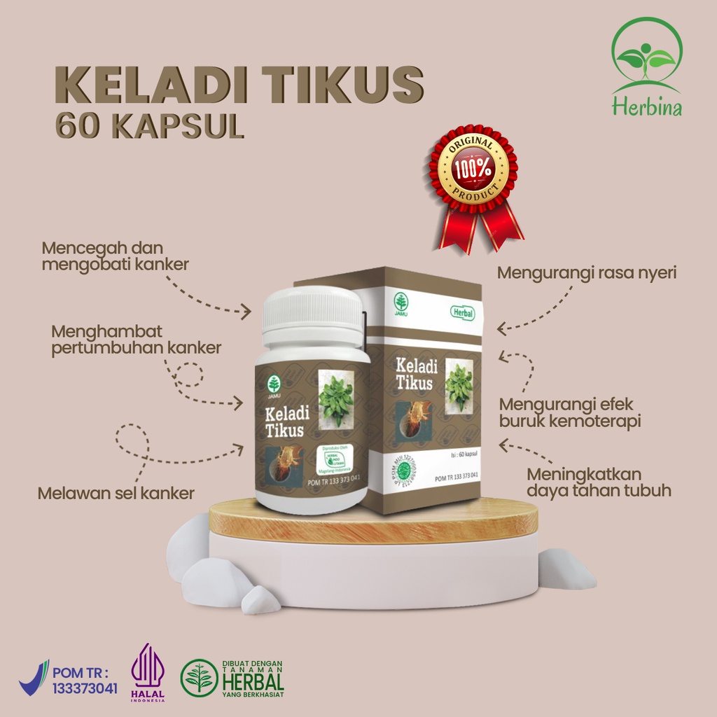 Jual Kapsul Keladi Tikus Herbal Penghambat Sel Kanker Dan Pengurang