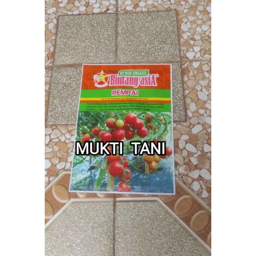 Jual Benih Tomat Rempai 10 Gram Bibit Tomat Bintang Asia Shopee