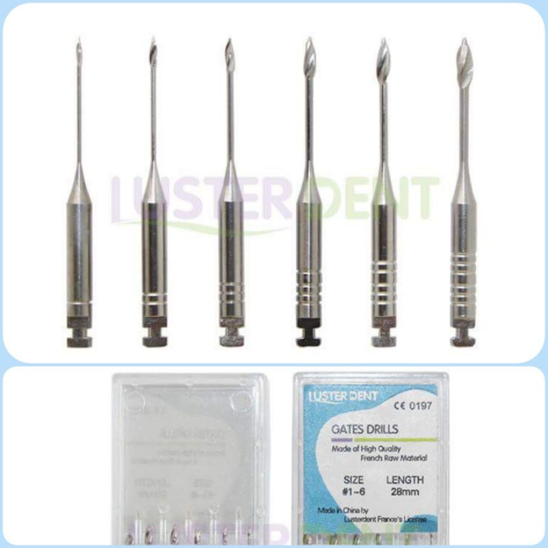 Jual Endo Jarum Gates Drills Dental Gates Drills Lusterdent Jarum