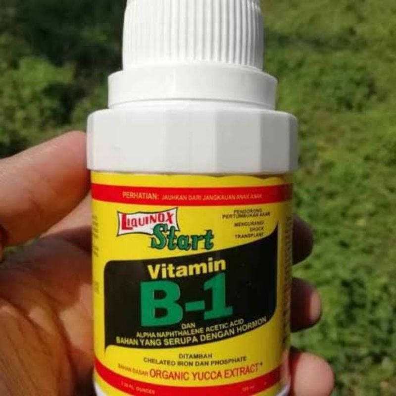 Jual Pupuk Vitamin Tanaman B Shopee Indonesia