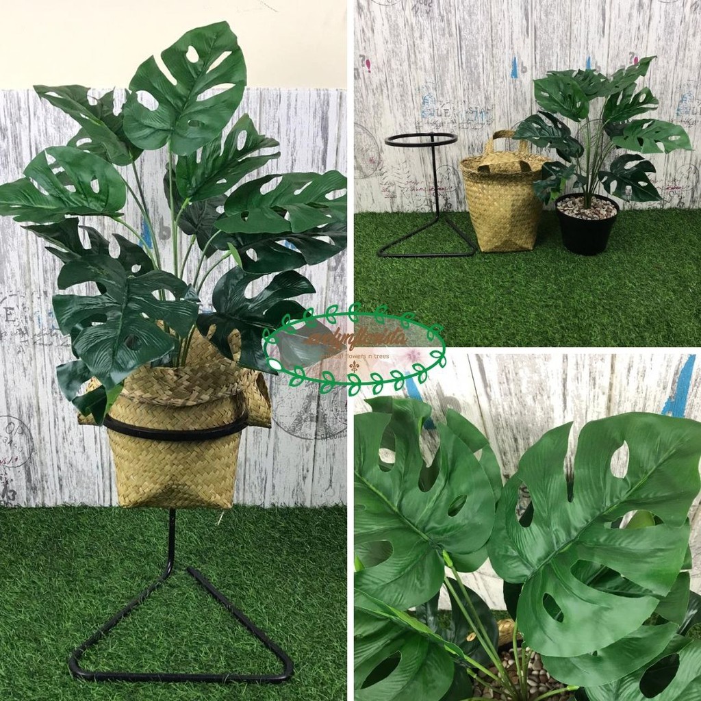 Jual Pohon Daun Monstera X Semi Latex Artificial Cover Pot Keranjang