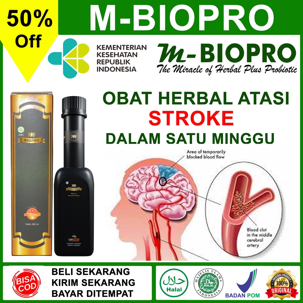 Jual Obat Stroke Lumpuh Badan Lumpuh Tubuh Susah Gerak Badan Mati