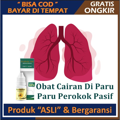 Jual Obat Cairan Di Paru Paru Perokok Pasif Aktif Obat Radang Paru