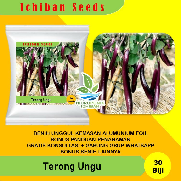 Jual Benih Bibit Biji TERONG UNGU PANJANG FARMERS LONG Kemasan