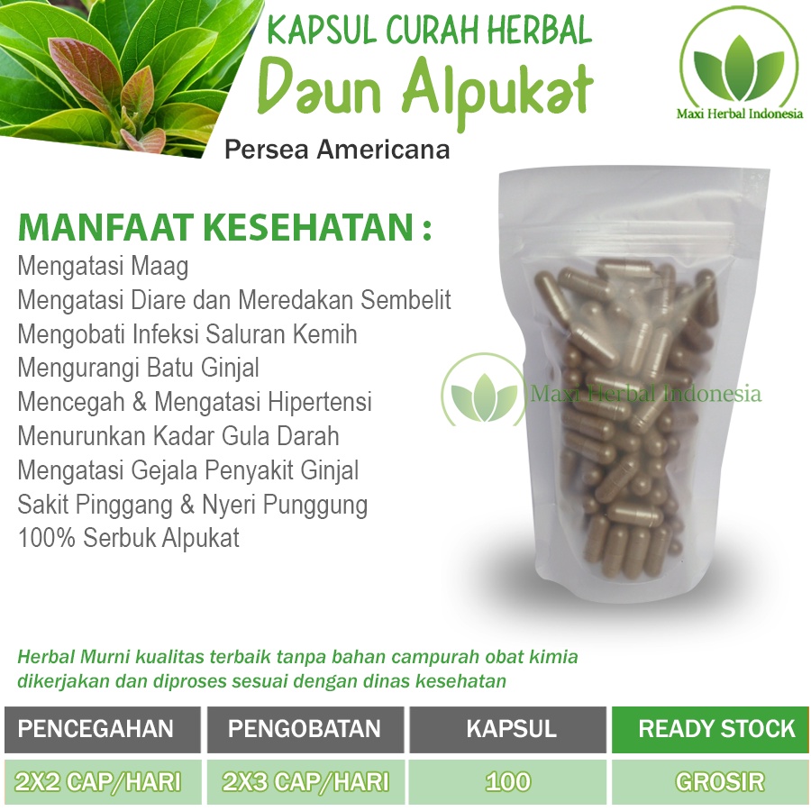 Jual DAUN ALPUKAT Kapsul Curah Herbal 200x600mg Anti Aging Asam Urat