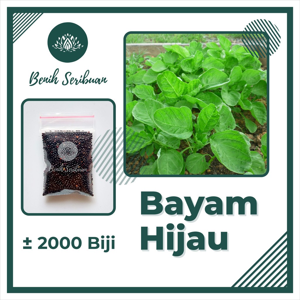 Jual TERMURAH Benih Bibit Sayur Sayuran Paket Lengkap Tanaman