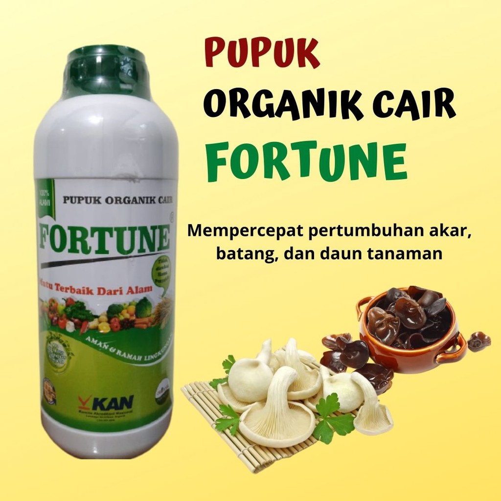 Jual Pupuk Organik Untuk Pembesar Buah Fortune Pupuk Untuk Masa