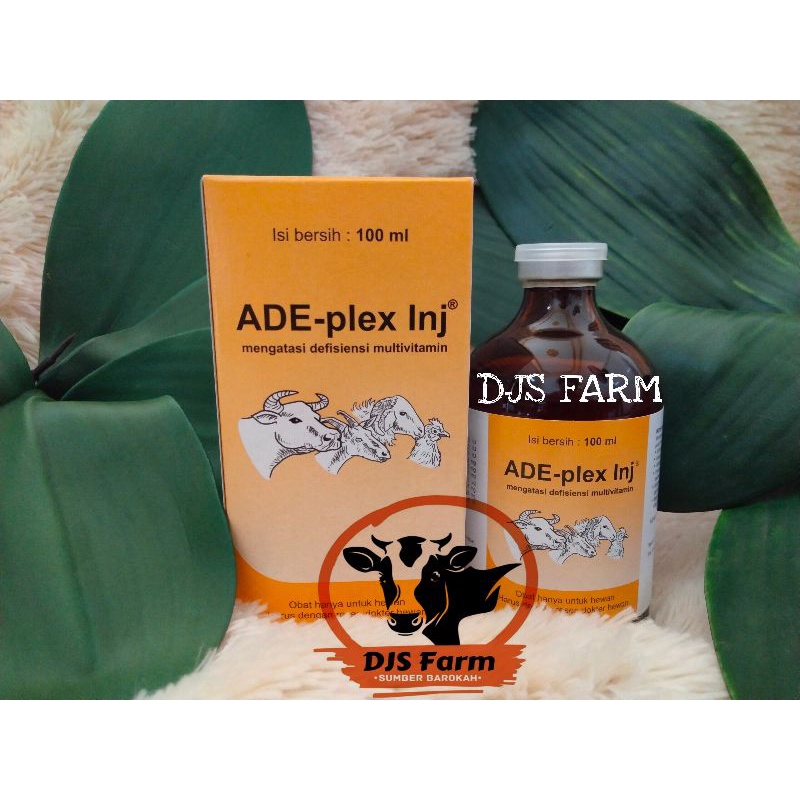 Jual Ade Plex Inj Ml Medion Vitamin Ade Dan B Komplek Vitamin