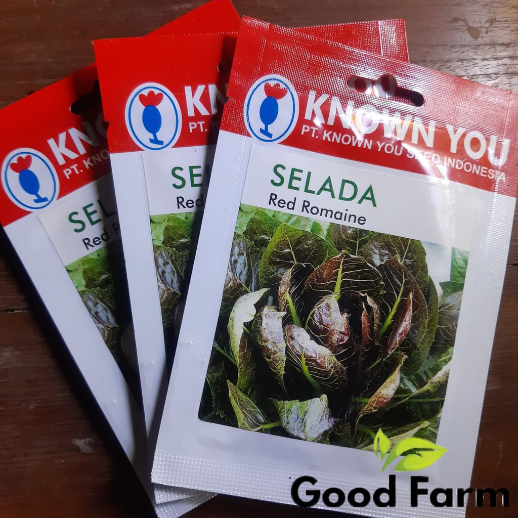 Jual Benih Selada Red Romaine Kemasan Gr Known You Seed Shopee