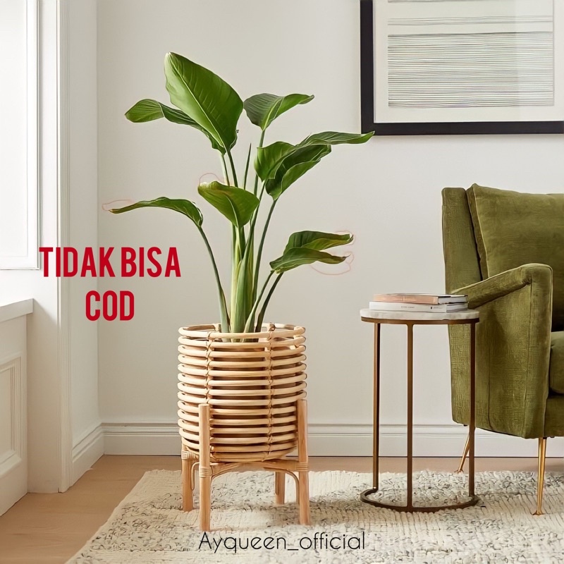 Jual Premium Standing Pot Rotan Pot Rotan Vas Bunga Shopee Indonesia