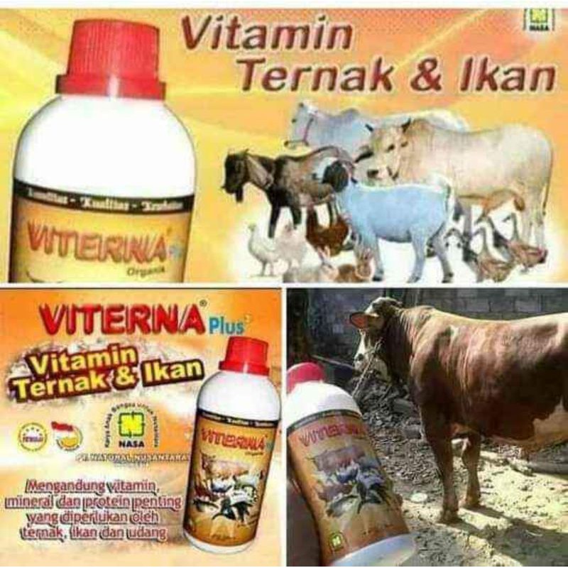 Jual Viterna Vitamin Ternak Shopee Indonesia