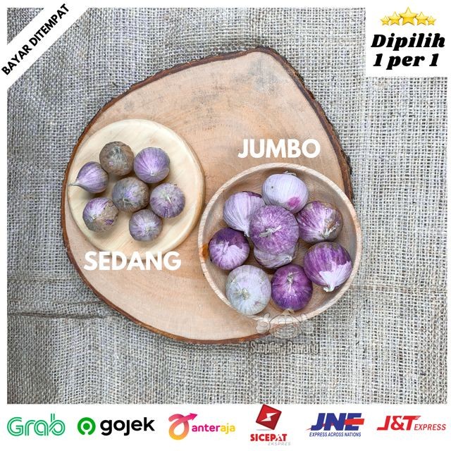 Jual Bawang Putih Tunggal Bawang Lanang Super Ukuran Besar Jumbo Kg