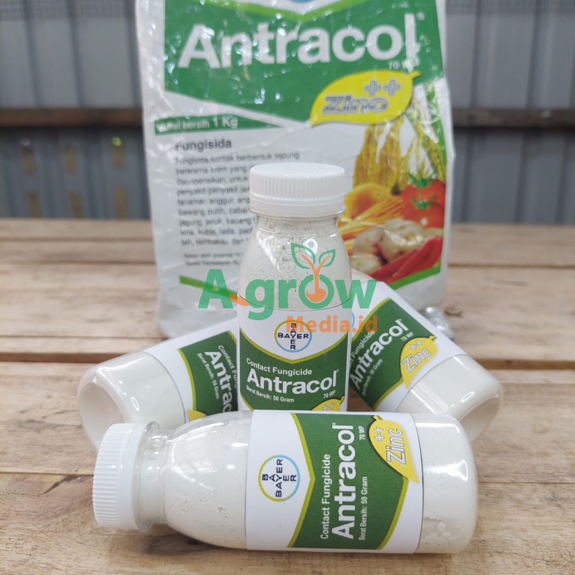 Jual Antracol 70 WP Zinc Kemasan Botol 50 Gram Fungisida Kontak