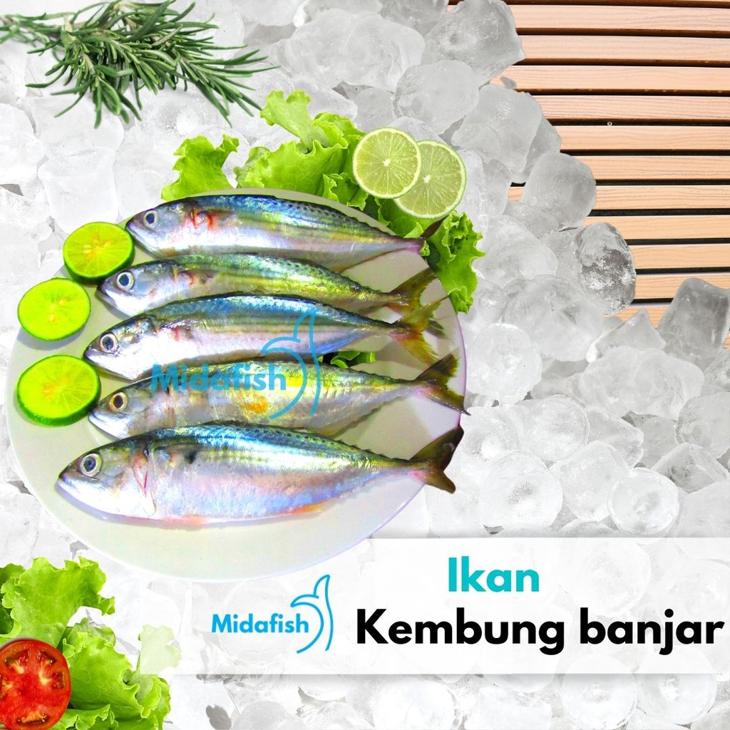 Jual Ikan Kembung Banjar Segar Beku Shopee Indonesia