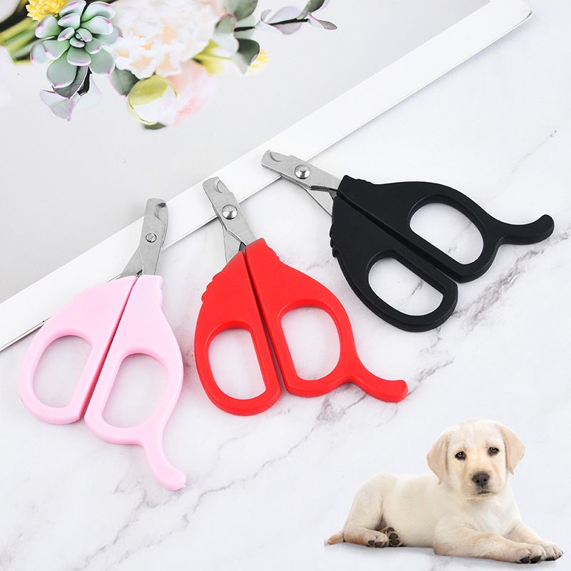 Jual Gunting Kuku Hewan Kucing Anjing Pet Nail Shopee Indonesia