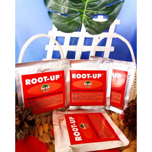 Jual ROOT UP Hormon Perangsang Akar Repack 10 Gram Pupuk Pertumbuhan