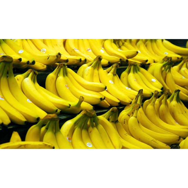 Jual Bibit Pisang Cavendish Tanaman Buah Shopee Indonesia