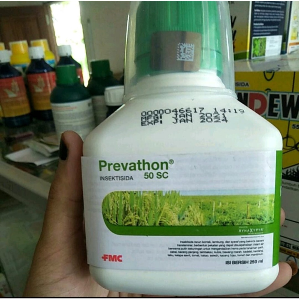 Jual Prevathon 50Sc Insektisida Pembasmi Hama Ulat 250ml Shopee Indonesia