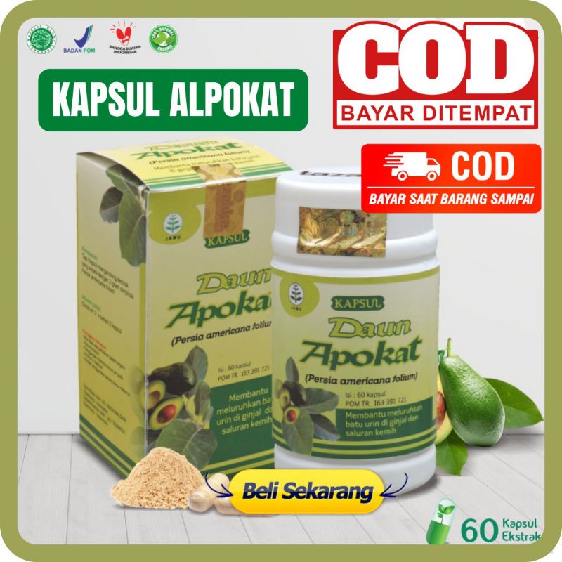 Jual Kapsul Daun Alpukat Tazakka Mengatasi Asam Urat Obat Sakit