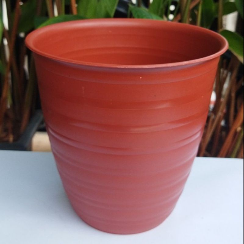 Jual Pot Pirus Tirus Cm Diameter Cm Pot Tirus Jm Shopee